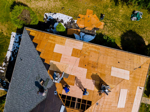 Best Roof Leak Repair  in Irvine, KY