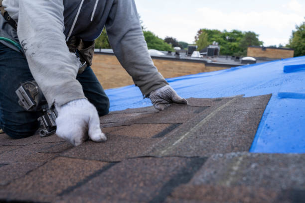 Best Emergency Roof Repair  in Irvine, KY